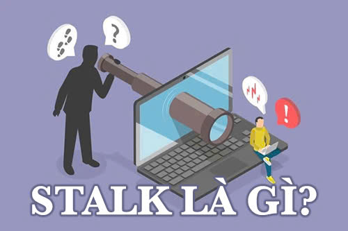 stalk là gì?