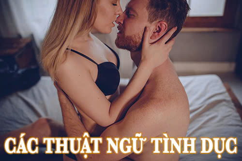 Các thuật ngữ tình dục